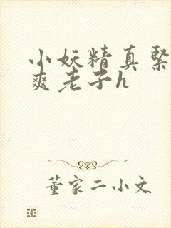 小妖精真紧h嘶爽老子h封面