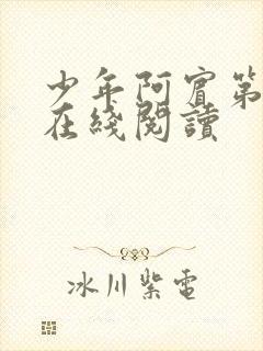 少年阿宾第二部在线阅读