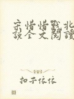 宋惜惜战北望小说全文阅读