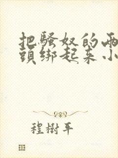 把骚奴的两个乳头绑起来小说