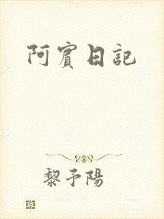 阿宾日记封面