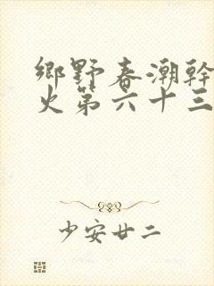 乡野春潮干柴烈火第六十三章