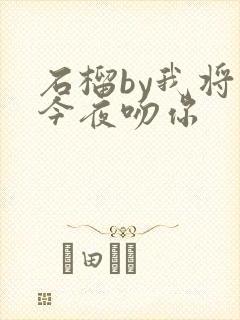 石榴by我将在今夜吻你封面