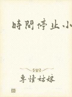 时间停止小说