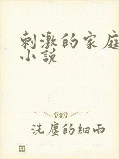 刺激的家庭乱仑小说