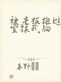 被老板抱进办公室揉我胸