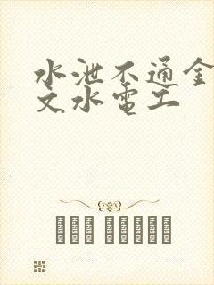 水泄不通金银原文水电工