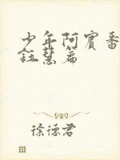 少年阿宾番外篇钰慧篇