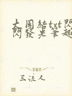 大团结txt闪闪发光笔趣阁封面