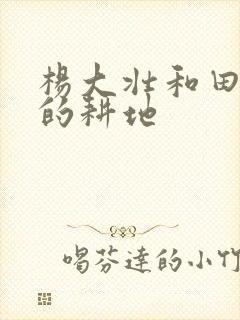 杨大壮和田桂花的耕地