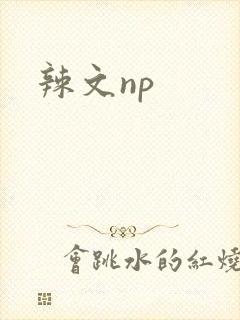辣文np