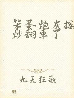 笨蛋炮灰总被爆炒翻车了