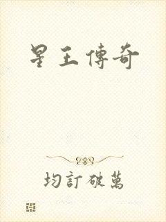 星王传奇