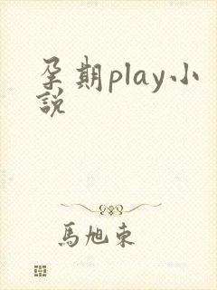 孕期play小说