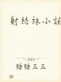 射丝袜小说