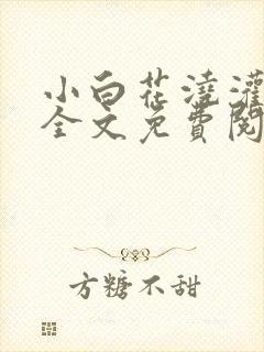 小白花浇灌日常全文免费阅读封面