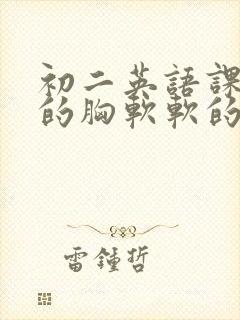 初二英语课代表的胸软软的封面