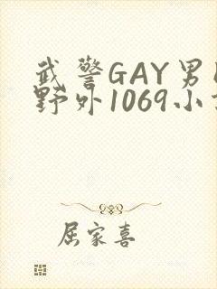 武警GAY男同野外1069小说封面