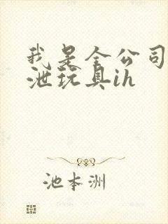 我是全公司的发泄玩具ih