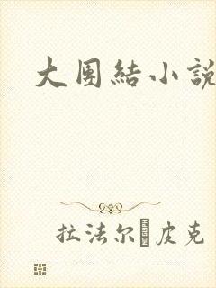 大团结小说全文