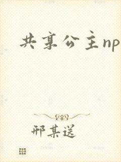共享公主npc