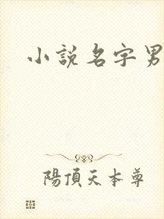 小说名字男生封面