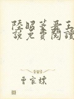 陆昭菱晋王的小说免费阅读封面