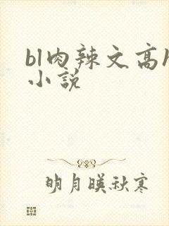 bl肉辣文高h小说
