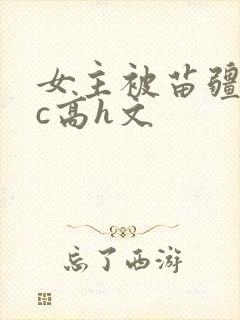 女主被苗疆男主c高h文