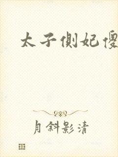 太子侧妃傻乎乎