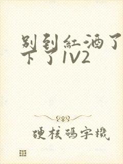 别到红酒了装不下了1V2