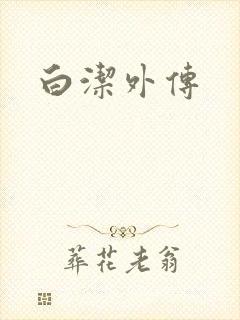 白洁外传封面