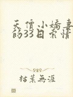 天价小娇妻总裁的33日索情