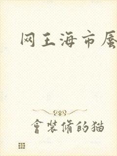 网王海市蜃楼