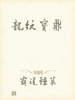 龙纹宝鼎封面
