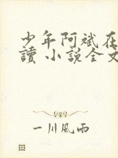 少年阿斌在线阅读 小说全文免费封面