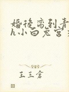 婚后脔到青梅哭h小白兔宫交h