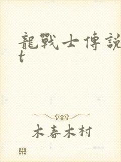 龙战士传说txt