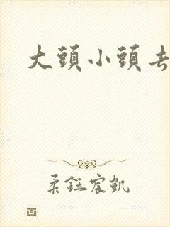 大头小头去旅行封面