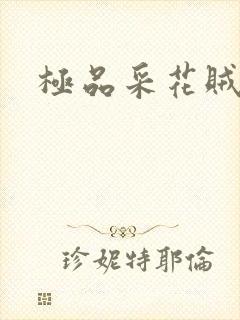 极品采花贼封面