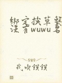 绑定挨草系统后没有wuwu名字