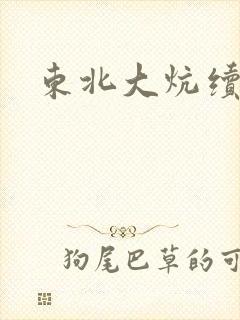 东北大炕续集