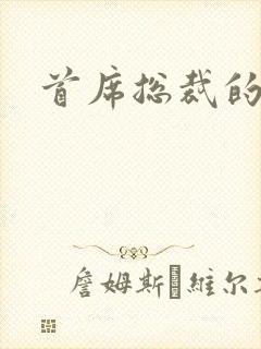 首席总裁的逃妻