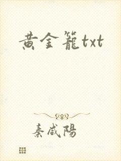 黄金笼txt封面
