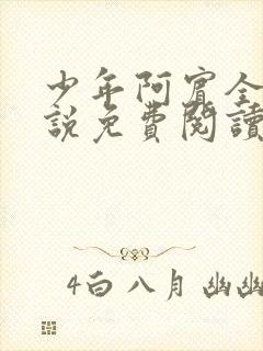 少年阿宾全文小说免费阅读笔趣阁封面