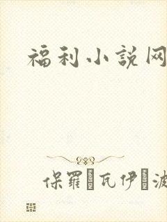 福利小说网