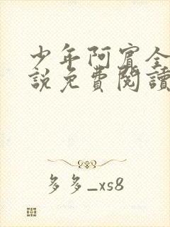 少年阿宾全文小说免费阅读笔趣阁封面