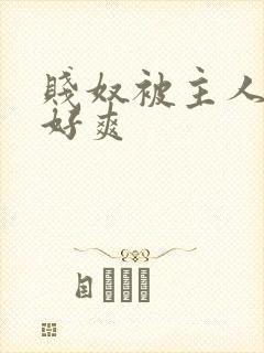 贱奴被主人虐玩好爽封面