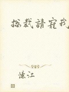 总裁请宠我封面