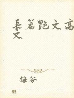 长篇艳文高辣h文封面